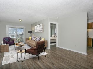 3401 Ryan Gulch Rd #3401, Silverthorne, CO 80498