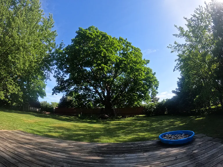 3119 Cedar Valley Dr — Photo 6