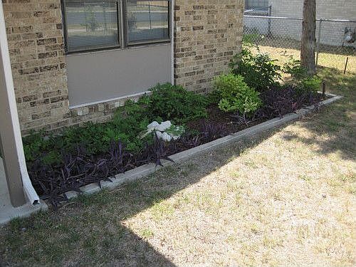 3rd image of 202 Zinnia Dr