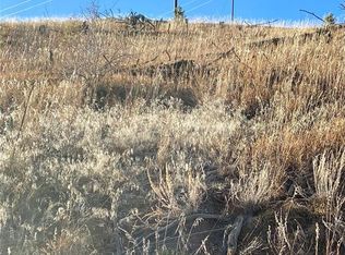 3587 County Road 33, Florissant, CO 80816