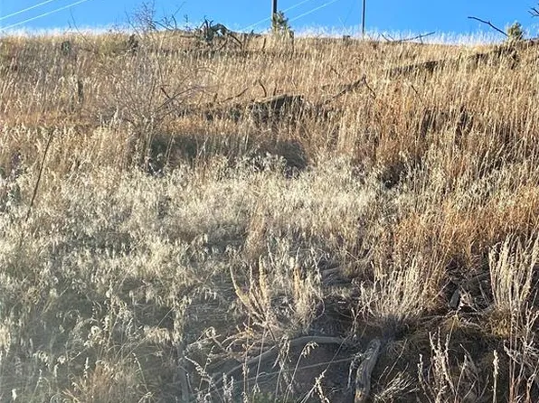 3587 County Road 33, Florissant, CO 80816