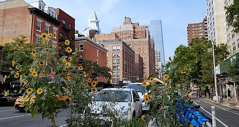 Rented by Domus Realty