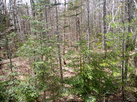 4th image of 9 Robinson Dr