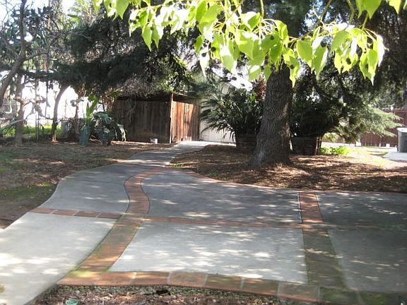 Rear Yard