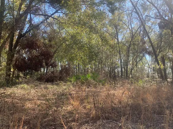 131st Dr, O'Brien, FL 32071
