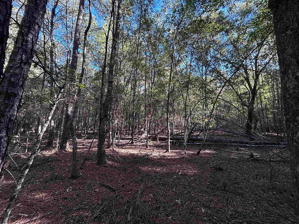 1st image of LOT 16 Hackberry