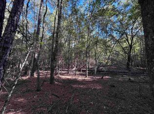 LOT 16 Hackberry, Village Mills, TX 77663