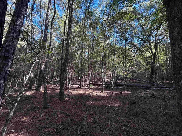 LOT 16 Hackberry, Village Mills, TX 77663