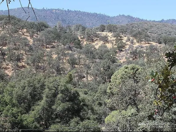 0 Owls Clover Rd #8, Caliente, CA 93518