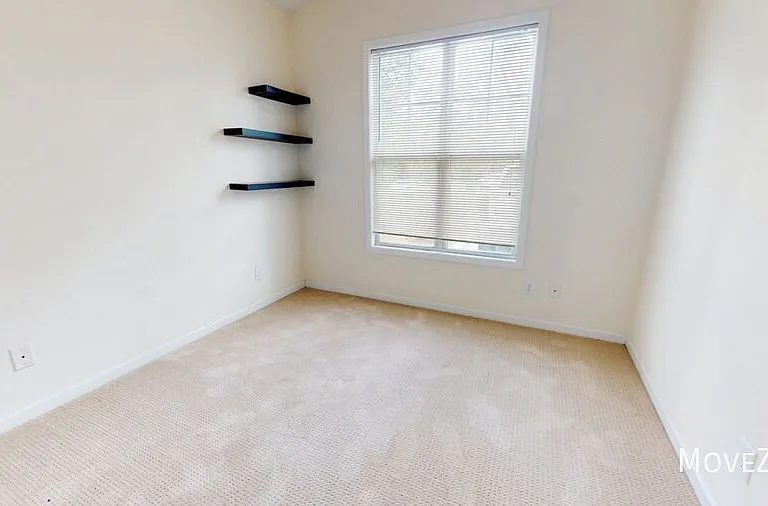 955 Downey Branch Ln — Photo 32
