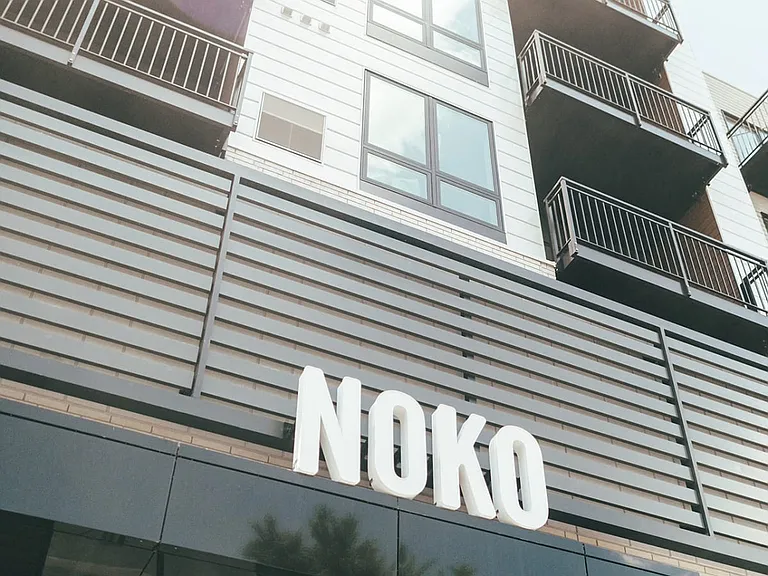 Noko — Photo 57