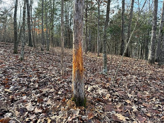 3rd image of 0 Haverstick School Rd