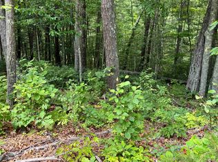 LOT 48 River Oaks Dr, Austinville, VA 24312