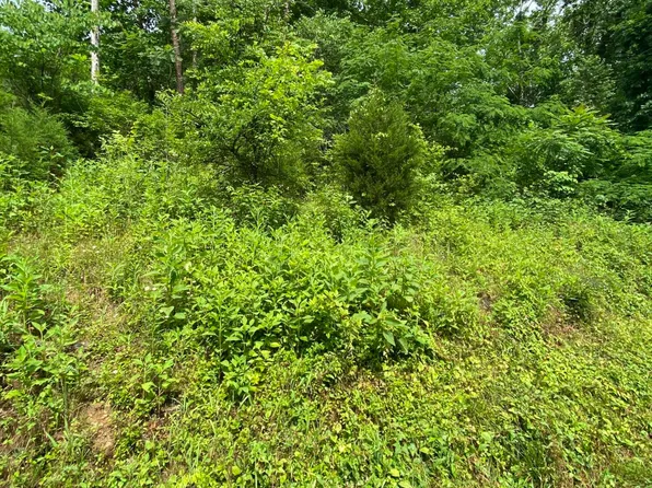 Mehaffey Rd, Powell, TN 37849