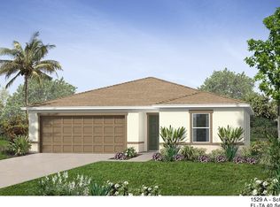 10616 Massimo Dr, Wimauma, FL 33598