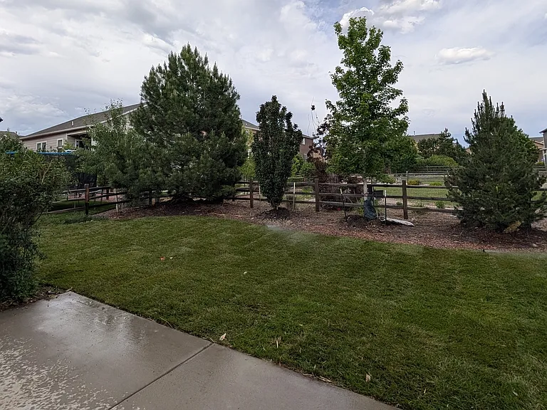 Full trees line the property