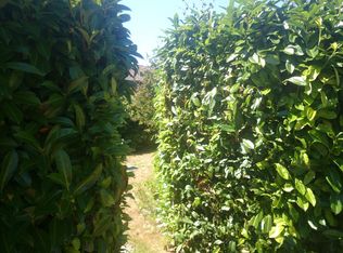 12043 6th Ave NW, Seattle, WA 98177