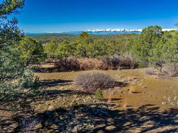 Silver Spruce Cir #322 & 323, Weston, CO 81091