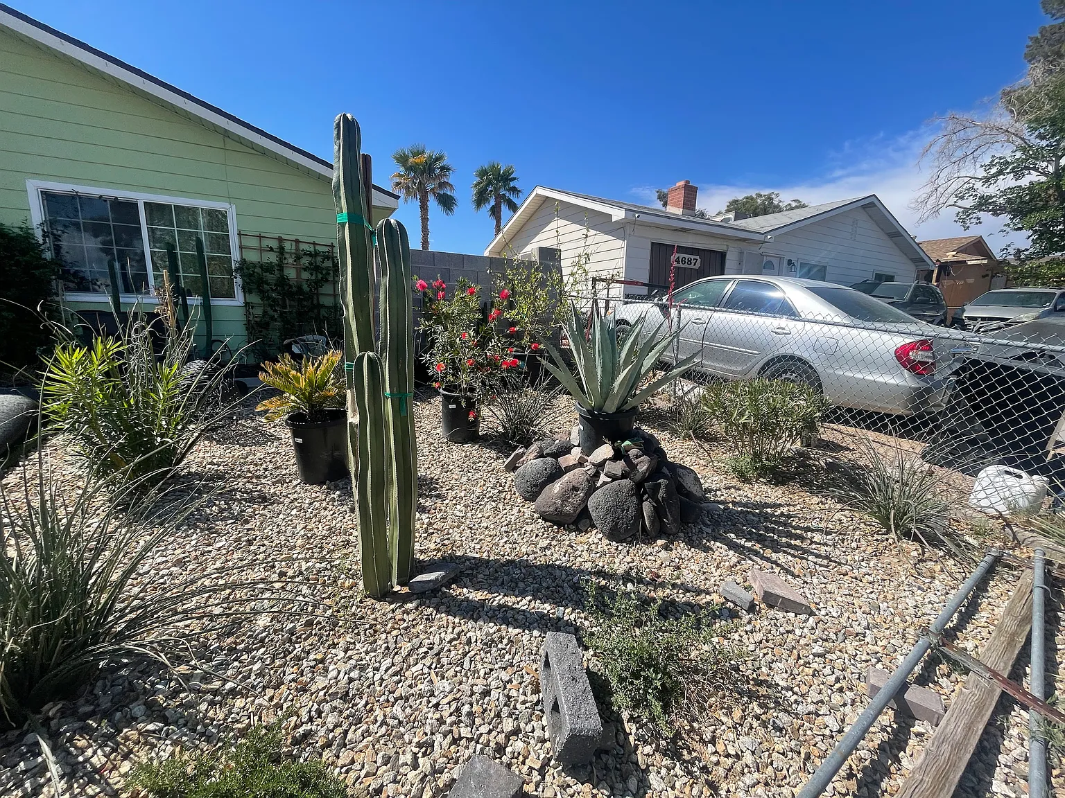 4693 Livermore Ave — Photo 1