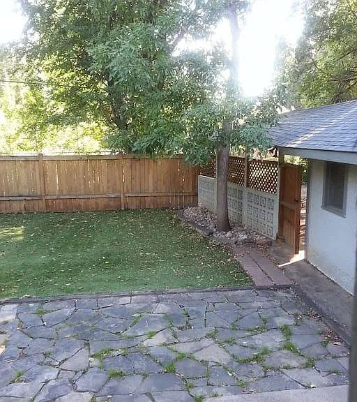 shared back yard, view out kitchen window