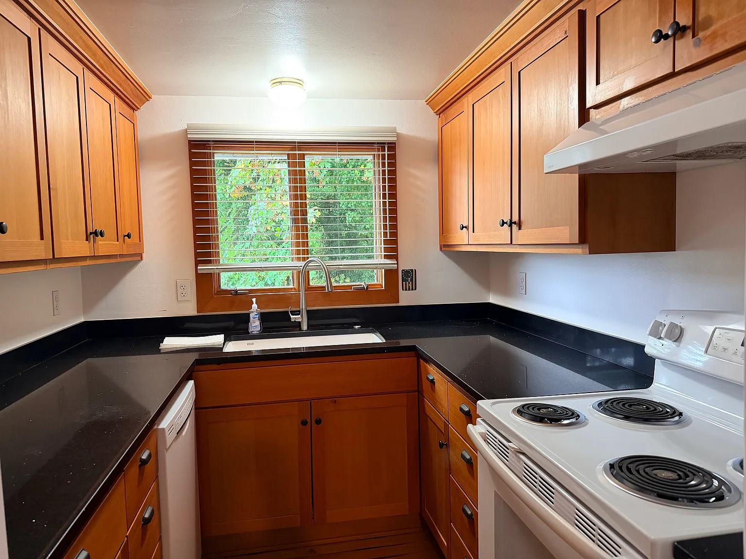 1 bed, 1580 sqft, $2,250 — Photo 2
