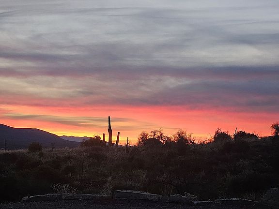 Morning sunrise off back