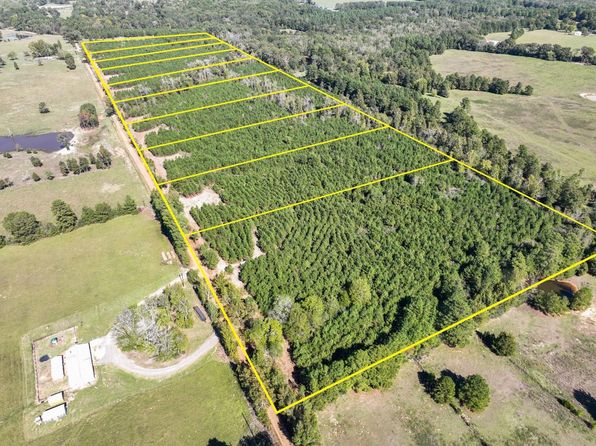 12 County Road 3121, Long Branch, TX 75669