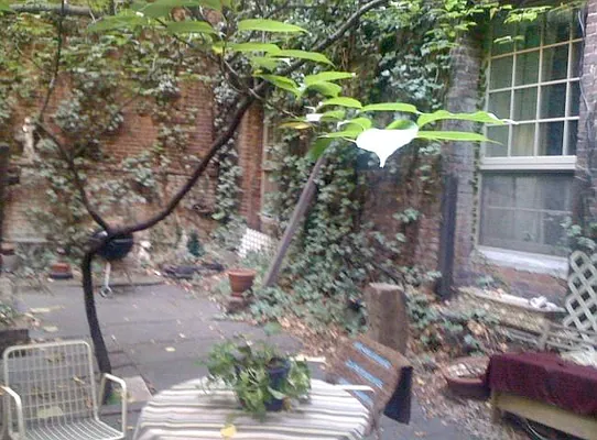 Rented by Koerner & Associates | media 15