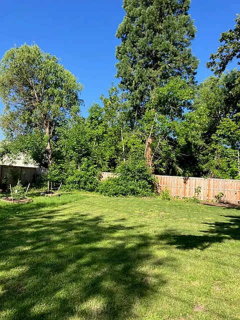 3 bed, 1700 sqft, $2,900 — Photo 3