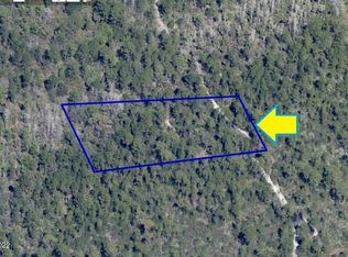 0 Access County Boundary #I95, Mims, FL 32754
