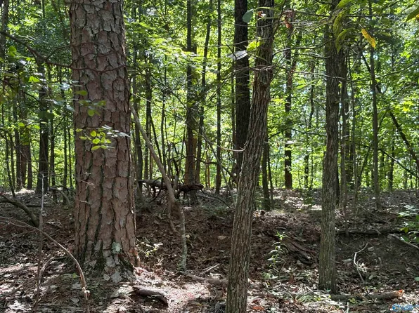 1500 County Highway 103 Lot 52, Mentone, AL 35984