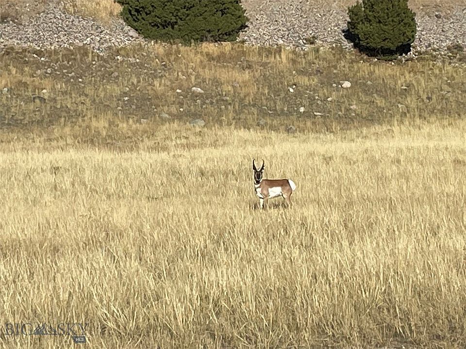 Lot 74 Mustang Rd, Ennis, MT 59729, MLS# 381586