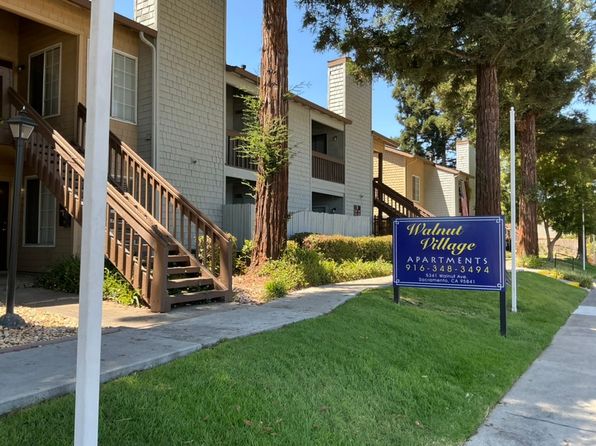 5341 Walnut Ave #203