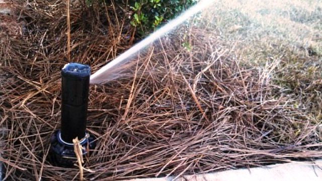 2nd image of 3143 Girard Dr