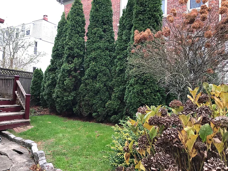 11 Milburn Ct — Photo 24