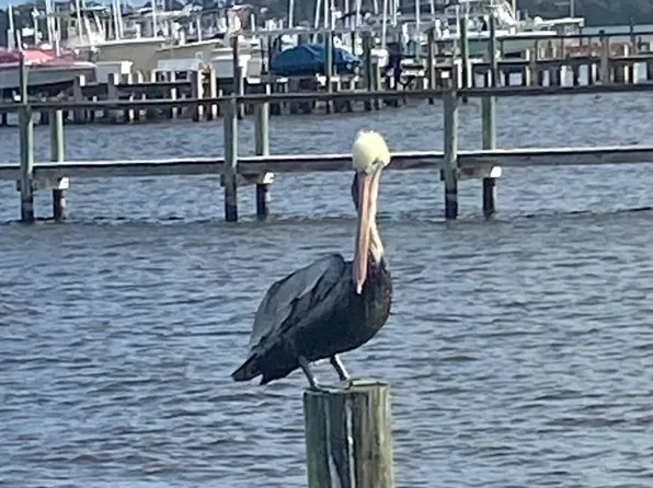 175 SE St Lucie Boulevard #A-96, Stuart, FL 34996