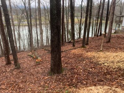 0 Scenic Dr LOT 128, Dayton, TN, 37321