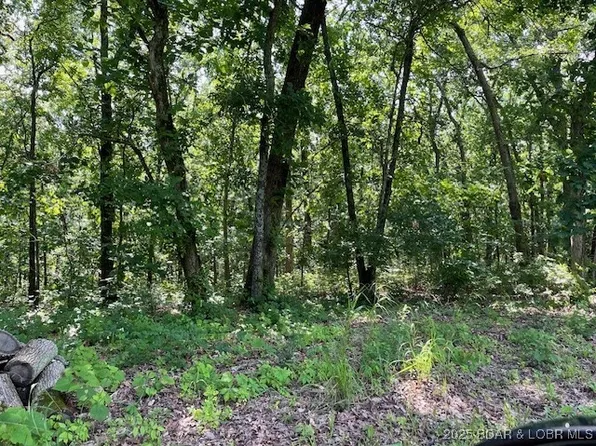 Chateau Oaks Dr, Brumley, MO 65017