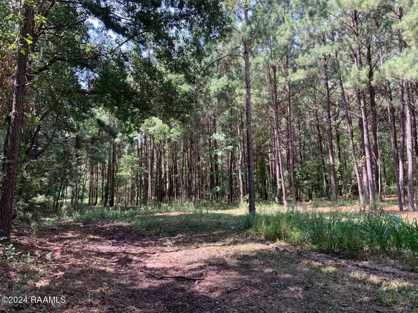 0 Redich Rd, Eunice, LA 70535