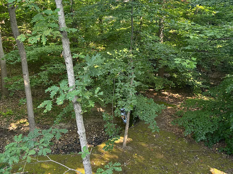 1168 Kelfield Dr — Photo 8