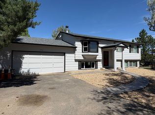 12461 N 4th St, Parker, CO 80134