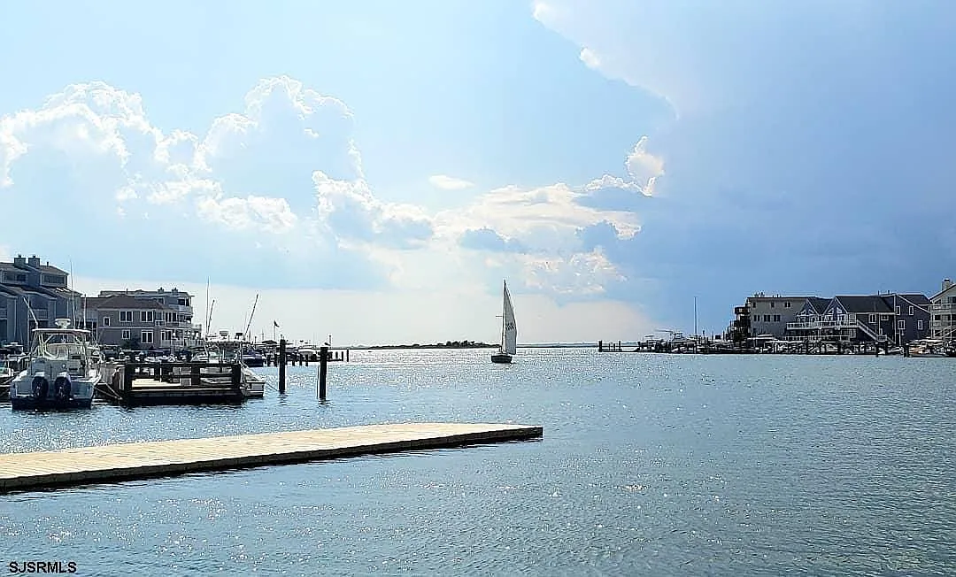 2 bed, 2.0 bath, $2,500 — Photo 4
