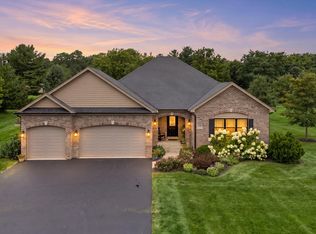 5325 Goldenrod Dr, Oswego, IL 60543