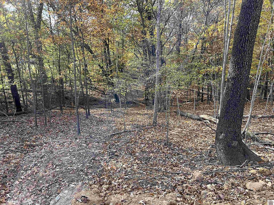 2nd image of 0 Miller Ln