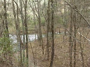 5th image of 562 County Road 3271