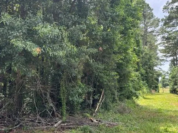 L- W Johnson Rd, Tylertown, MS 39667