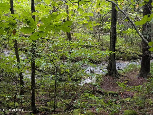 0 Catoosa Dr Lot 27, Lancing, TN 37770