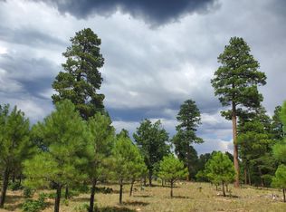 4479 Juniper Dr, Happy Jack, AZ 86024