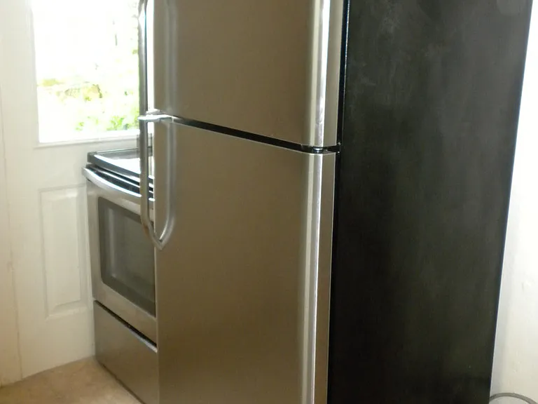1008 Otto Ct — Photo 9