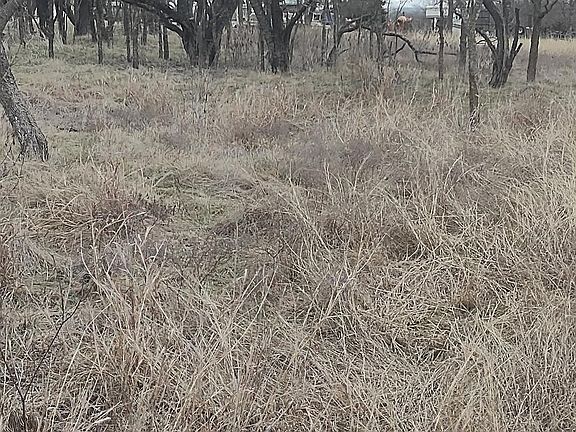2nd image of 138 Private Road 226